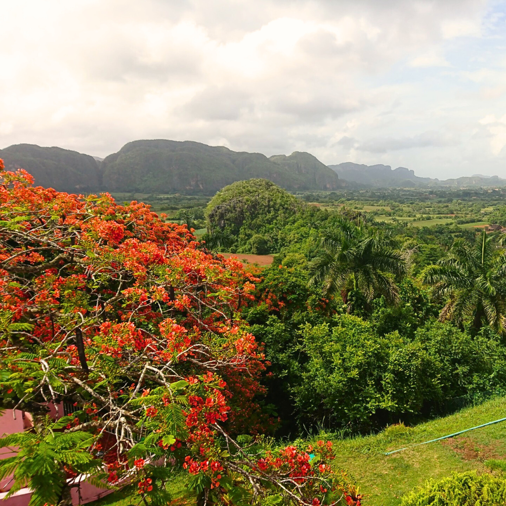 Viñales · Cuba