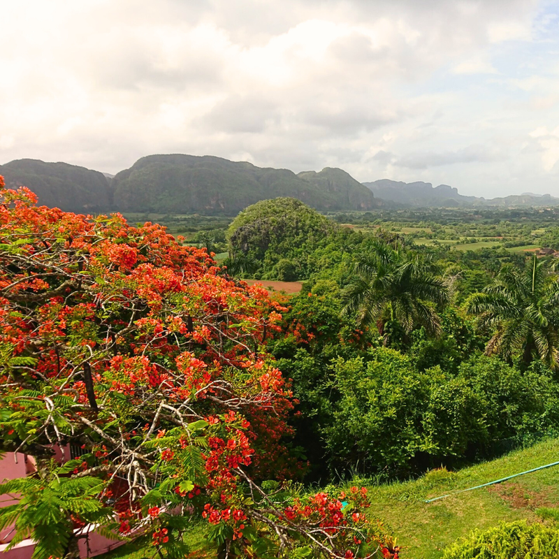 Viñales · Cuba