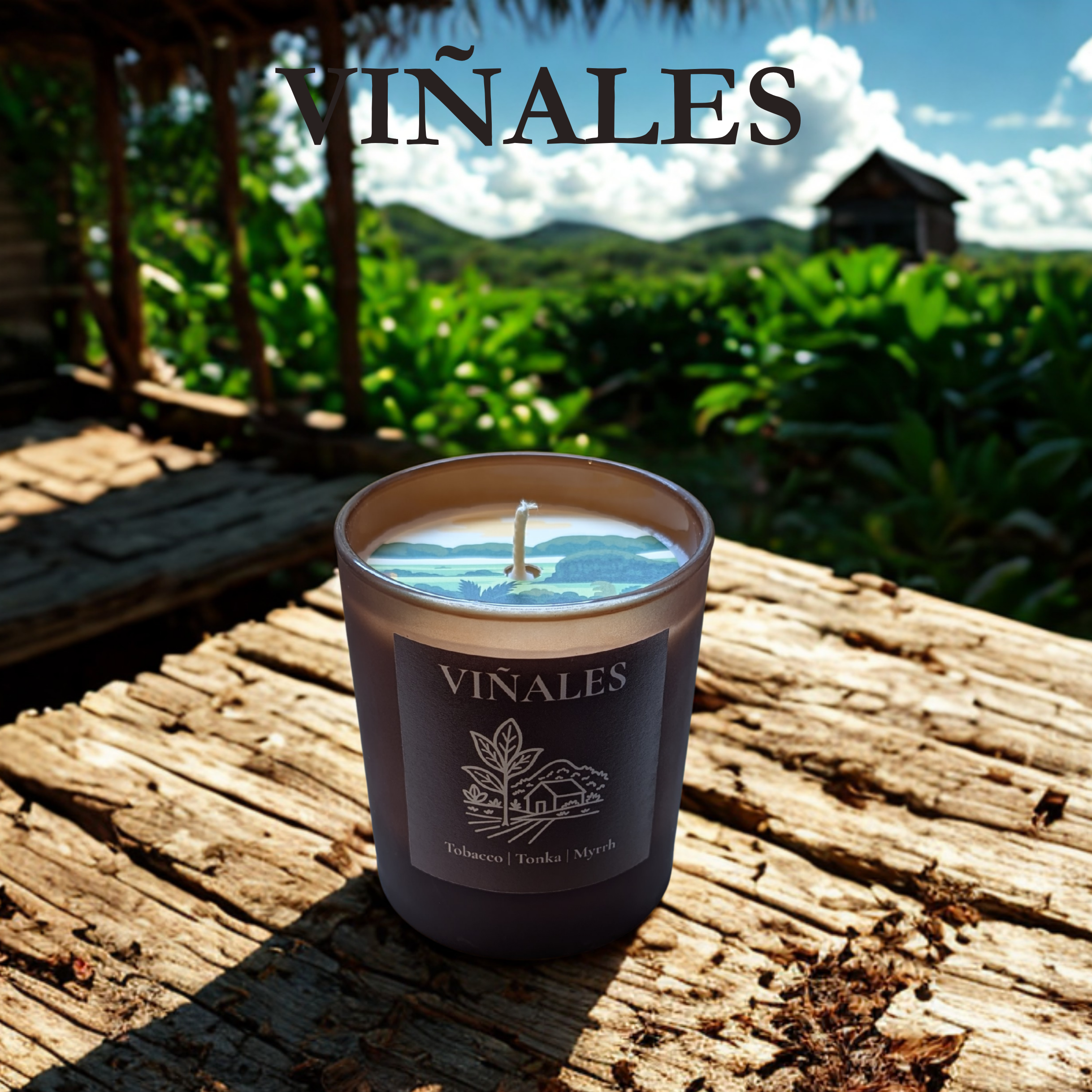 Viñales - Scented Candle (30 Cl)